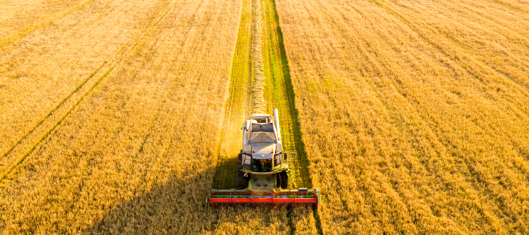 birdseye view of tractor in a field, sowing crops - agriculture safety concept